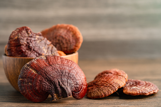 Reishi Mushrooms: Potential Benefits with Numerical Statistics