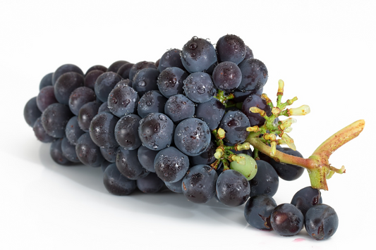 Resveratrol