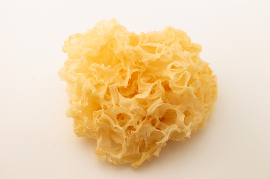 Whitewood Ear Mushrooms (Tremella fuciformis)