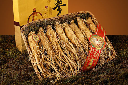 Ginseng