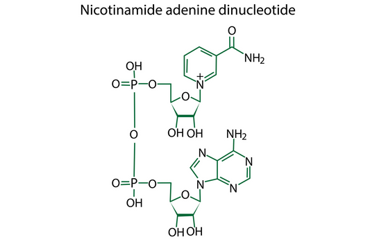 NAD+